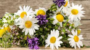 Worldwide Directory of Healing Touch Practitioners
