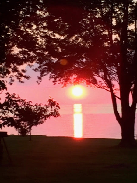 A Little Sunshine and the Heat of Healing